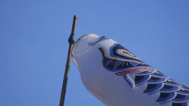 Ibaraki gündüz güneşli Ryujin büyük köprüde sazan flamalar