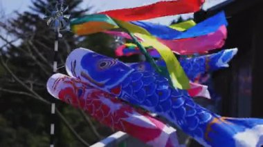 Ibaraki gündüz güneşli Ryujin büyük köprüde sazan flamalar