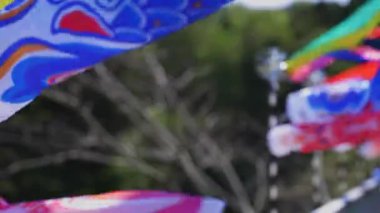 Ibaraki gündüz güneşli Ryujin büyük köprüde sazan flamalar