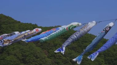 Ibaraki gündüz güneşli Ryujin büyük köprüde sazan flamalar