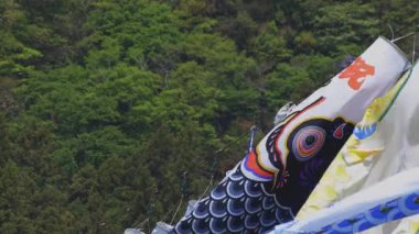 Ibaraki gündüz güneşli Ryujin büyük köprüde sazan flamalar