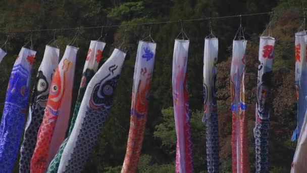 Serpentinas de carpa en Ryujin gran puente en Ibaraki soleado durante el día — Vídeo de stock