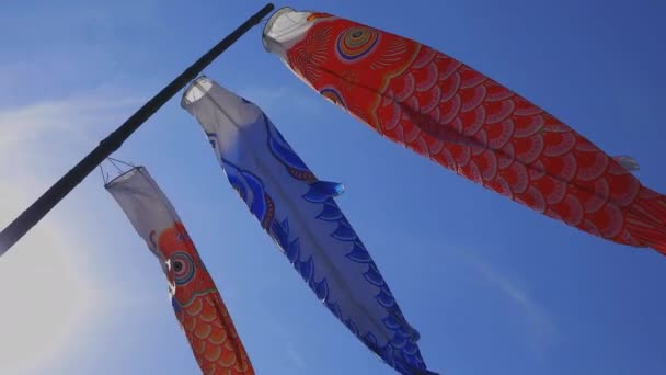 CARP streamers bij Ryujin Big Bridge in Ibaraki Sunny overdag — Stockvideo