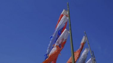 Ibaraki gündüz güneşli Ryujin büyük köprüde sazan flamalar