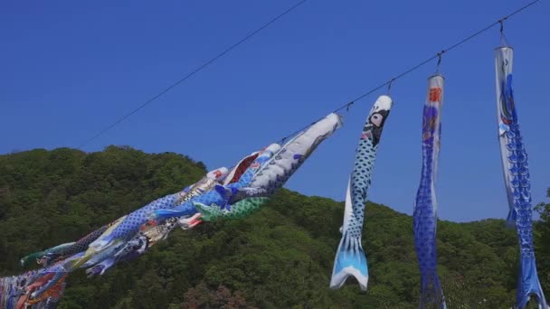 CARP streamers bij Ryujin Big Bridge in Ibaraki Sunny overdag — Stockvideo