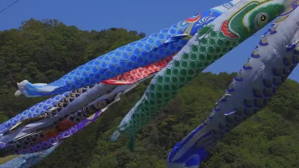 CARP streamers bij Ryujin Big Bridge in Ibaraki Sunny overdag — Stockvideo