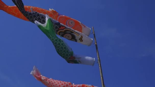 CARP streamers bij Ryujin Big Bridge in Ibaraki Sunny overdag — Stockvideo