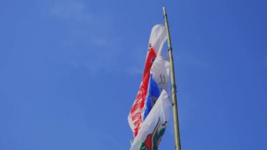 Ibaraki gündüz güneşli Ryujin büyük köprüde sazan flamalar