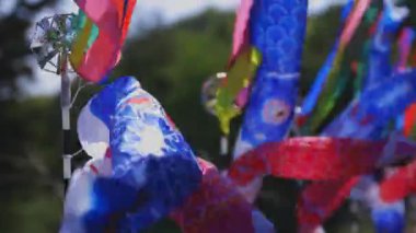 Ibaraki gündüz güneşli Ryujin büyük köprüde sazan flamalar