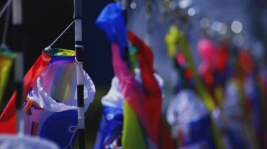 Ibaraki gündüz güneşli Ryujin büyük köprüde sazan flamalar