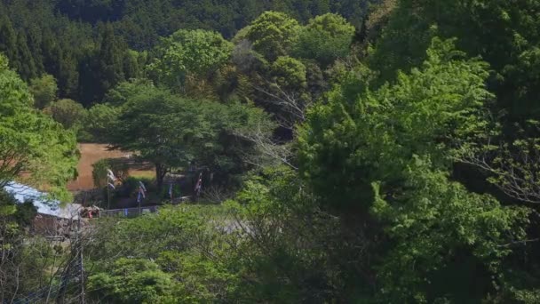 Carpe streamers à Ryujin grand pont à Ibaraki diurne ensoleillé — Video