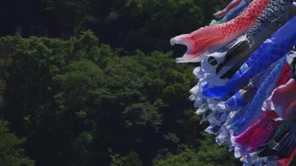 Carpe streamers à Ryujin grand pont à Ibaraki diurne ensoleillé — Video