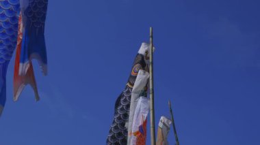 Ibaraki gündüz güneşli Ryujin büyük köprüde sazan flamalar