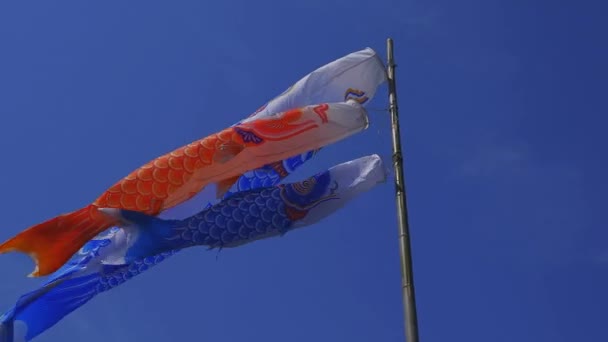 Riachos de carpa em Ryujin grande ponte em Ibaraki ensolarado durante o dia — Vídeo de Stock