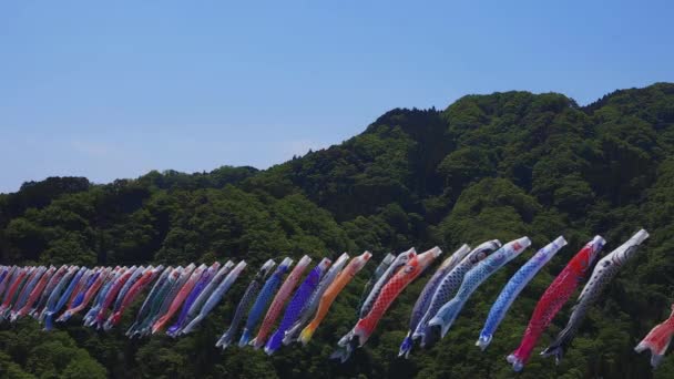 Karp streamers på Ryujin Big Bridge i Ibaraki dagtid Sunny — Stockvideo