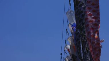 Ibaraki gündüz güneşli Ryujin büyük köprüde sazan flamalar