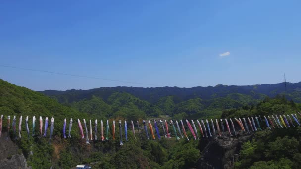 Ibaraki gündüz güneşli Ryujin büyük köprüde sazan flamalar — Stok video