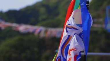 Ibaraki gündüz güneşli Ryujin büyük köprüde sazan flamalar