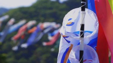 Ibaraki gündüz güneşli Ryujin büyük köprüde sazan flamalar