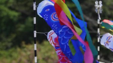 Ibaraki gündüz güneşli Ryujin büyük köprüde sazan flamalar