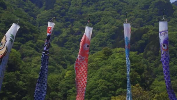 Carp streamers di jembatan Ryujin di siang hari Ibaraki cerah — Stok Video