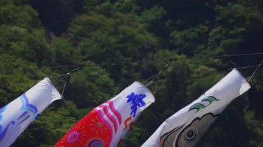 Ibaraki gündüz güneşli Ryujin büyük köprüde sazan flamalar