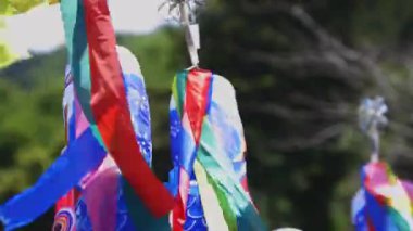 Ibaraki gündüz güneşli Ryujin büyük köprüde sazan flamalar