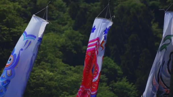 CARP szalagok a ryujin nagy híd Ibaraki nappali napos — Stock videók