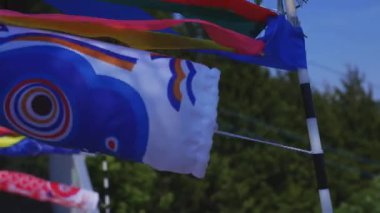 Ibaraki gündüz güneşli Ryujin büyük köprüde sazan flamalar