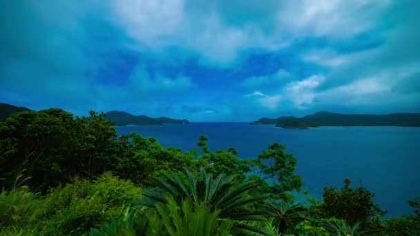 Timelapse cypla w pobliżu błękitnego oceanu w Amami Oshima Kagoshima — Wideo stockowe