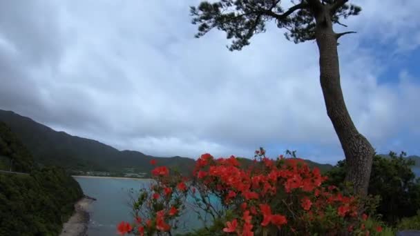 А боязна мисі біля синього океану в Амамі-Осима — стокове відео