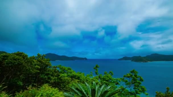 Timelapse cypla w pobliżu błękitnego oceanu w Amami Oshima Kagoshima — Wideo stockowe