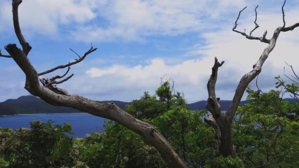 Manenzaki Vorgebirge in der Nähe des blauen Ozeans in amami oshima kagoshima Weitschuss — Stockvideo