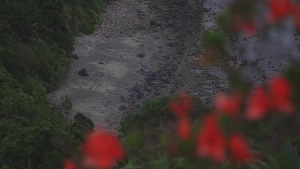 Promontorio di Manenzaki vicino all'oceano blu in Amami oshima Kagoshima colpo largo — Video Stock