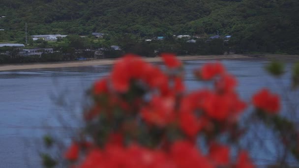 Promontório de Manenzaki perto do oceano azul em Amami oshima Kagoshima tiro largo — Vídeo de Stock