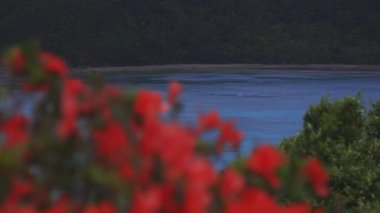 Amami oshima Kagoshima geniş atış mavi okyanus yakınında Manenzaki burun