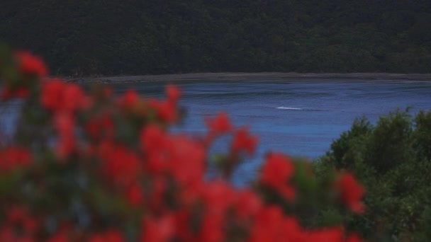 Promontorio di Manenzaki vicino all'oceano blu in Amami oshima Kagoshima colpo largo — Video Stock