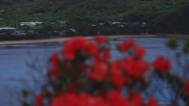 Promontorio di Manenzaki vicino all'oceano blu in Amami oshima Kagoshima colpo largo — Video Stock
