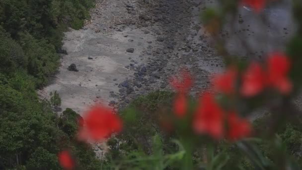 Promontorio di Manenzaki vicino all'oceano blu in Amami oshima Kagoshima colpo largo — Video Stock