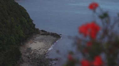 Amami oshima Kagoshima geniş atış mavi okyanus yakınında Manenzaki burun