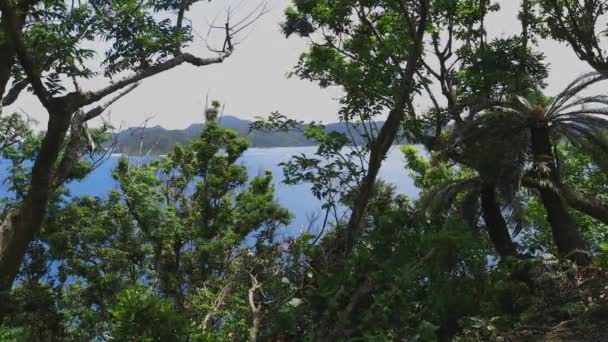 아마미 오시마 가고시마 와이드 샷의 푸른 바다 근처 마넨자키 산책로 — 비디오