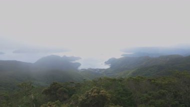 Amami oshima Kagoshima yüksek açı takachiyama promontory tropikal orman