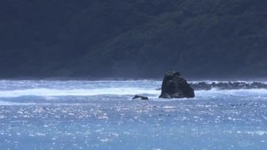 Amami oshima Kagoshima güneşli bir gün mavi okyanusta Yumuşak dalgalar
