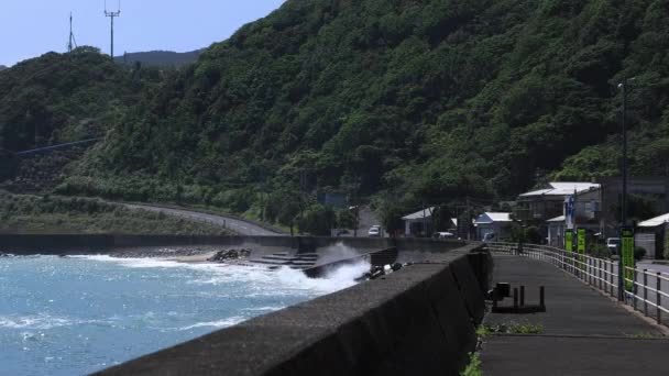 Ondas suaves no oceano azul em Amami oshima Kagoshima dia ensolarado — Vídeo de Stock