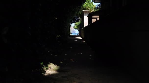 Fukugi namiki tunnel rue derrière l'océan bleu à Amami oshima Kagoshima — Video