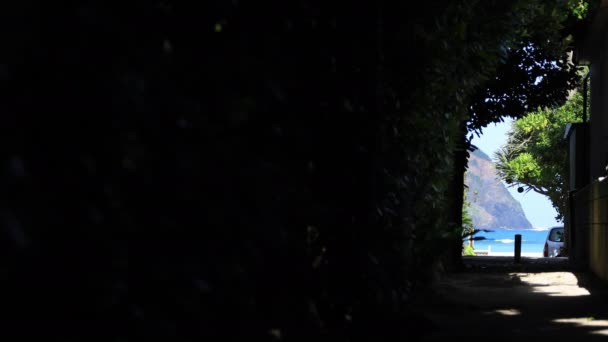 Fukugi namiki túnel calle detrás del océano azul en Amami oshima Kagoshima — Vídeos de Stock