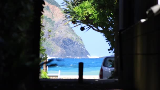 Fukugi namiki tunnel straat achter de blauwe oceaan in Amami Oshima Kagoshima — Stockvideo