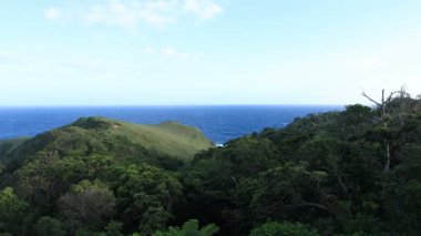 Amami oshima Kagoshima mavi okyanus yakınında Miyakozaki promontory