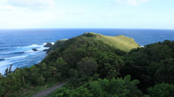 Promontoire de Miyakozaki près de l'océan bleu à Amami oshima Kagoshima — Video