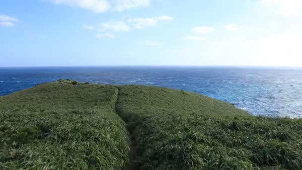 Amami oshima Kagoshima mavi okyanus yakınında Miyakozaki promontory — Stok video